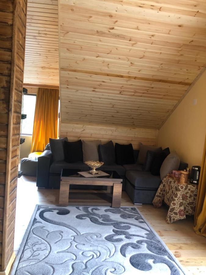 Hotel Nestt Kazbegi Eksteriør billede
