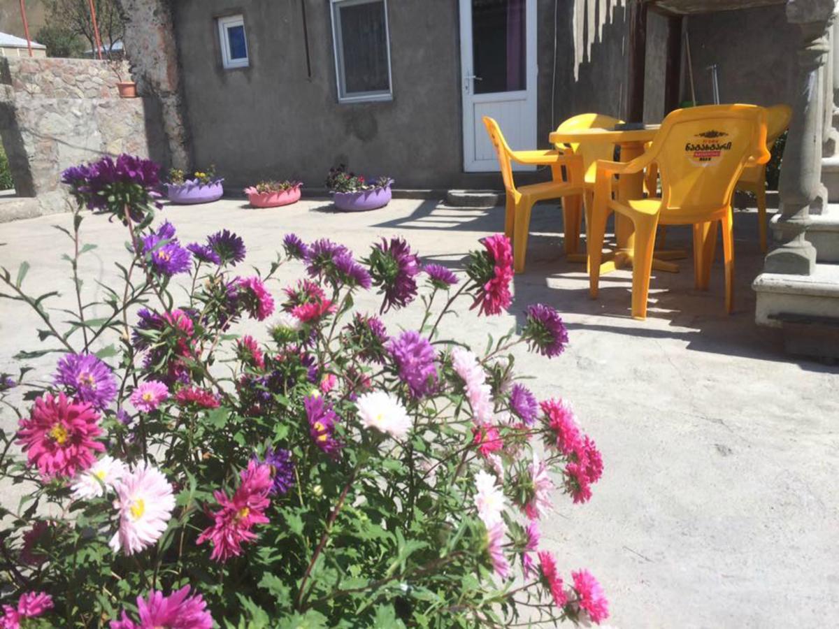 Hotel Nestt Kazbegi Eksteriør billede